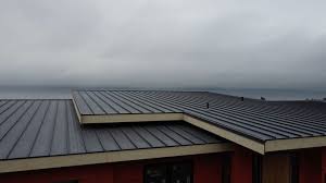 Best Roof Leak Repair  in Kaumakani, HI